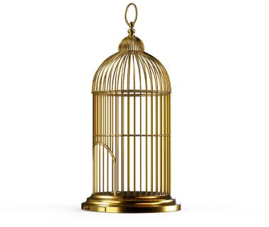 Budgie beyaz bir kafesin içinde tek başına.