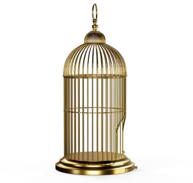 Budgie beyaz bir kafesin içinde tek başına.