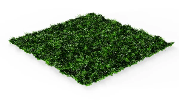 Square Shaped Green Grass Lawn Render — Stock Photo, Image
