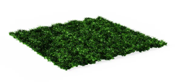 Квадратна Зелена Газонна Трава Візуалізація — стокове фото