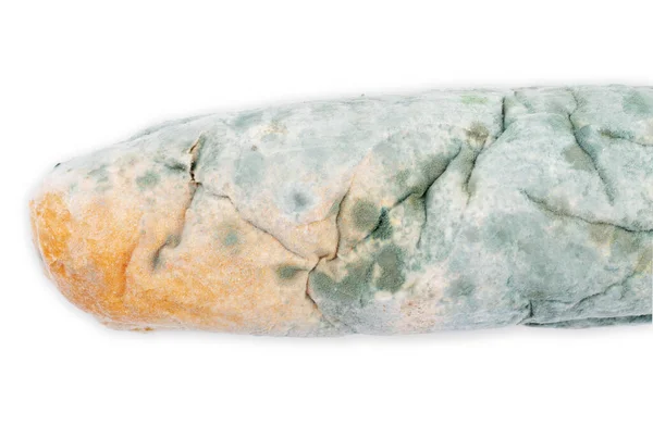 Moldy Bread Isolated White Background — Stock Photo, Image