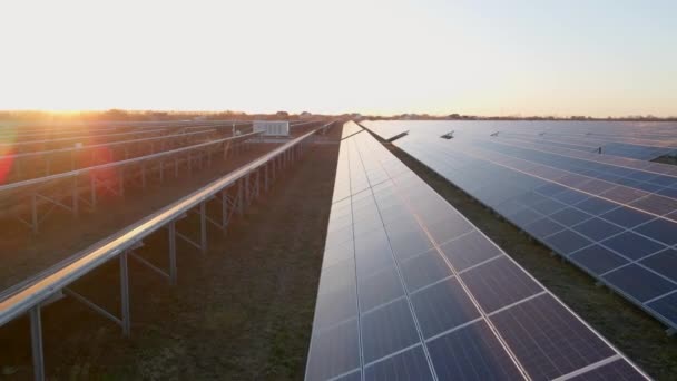 Close up drone view of solar panels stand in a row in the fields Ενέργεια οικολογία καινοτομία φύση περιβάλλον πράσινη ενέργεια τοπίο ηλεκτρική ενέργεια οικολογία καινοτομία φύση περιβάλλον — Αρχείο Βίντεο