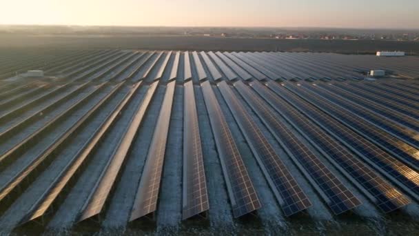 Aerial view of solar panels stand in a sorban a területeken teljesítmény ökológia innováció természet környezet zöld energia táj elektromos energia ökológia innováció természet környezet — Stock videók
