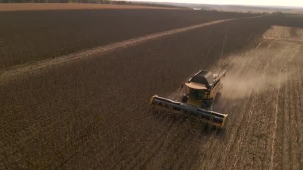 Zpomalený letecký pohled na kombajn, pracující na poli. Sklizňový stroj pro práci na poli. — Stock video