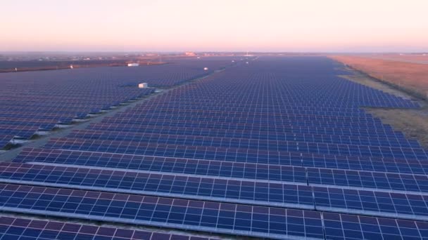 Luchtfoto van zonnepanelen staan op een rij op het gebied van kracht ecologie innovatie natuur milieu groene energie landschap elektrische energie ecologie innovatie natuur milieu — Stockvideo