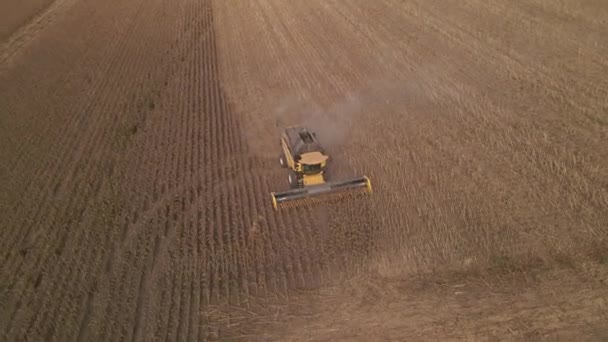 Ralenti Vue aérienne de la moissonneuse batteuse travaillant sur un champ. Machine de moissonneuse-batteuse.