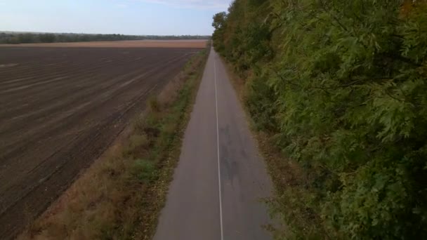 Drone fly over countryside road with field and trees on sides — Stock Video