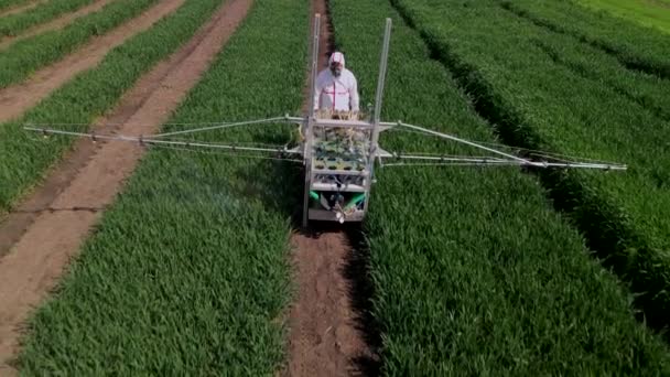 繁殖場に特別な機械で小麦に化学物質を投げ白い保護スーツで認識できない男のスローモーション空中ショット — ストック動画