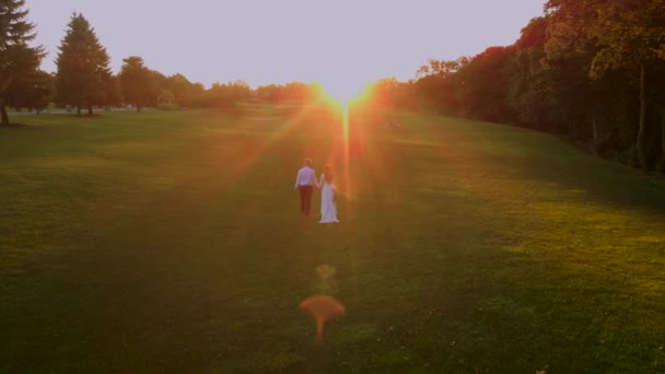 Antenn slow motion skott av brudgum med brud promenader tillsammans på en grön gräs i parken på sommaren solnedgång — Stockvideo