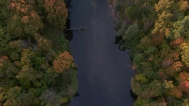 En tepedeki sonbahar tahtası. Doğa geçmişi. Renkli ağaçlarla dolu sonbahar parkının havadan görünüşü. Sonbahar ormanı.