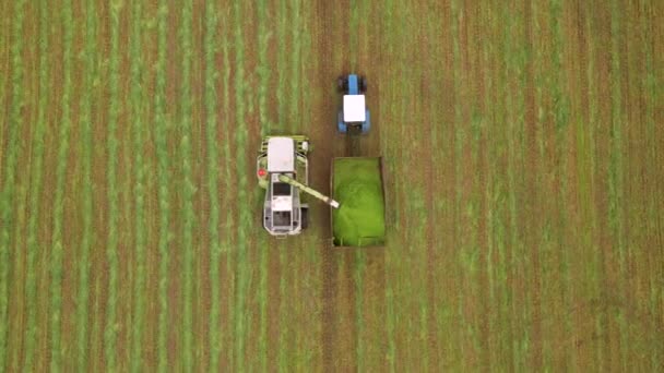 现代收割机在拖拉机挂车上装载大麦的空中镜头。概念：拖拉机、收获、钻机b-roll镜头、生态. — 图库视频影像