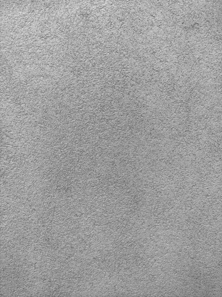 Consistenza Dell Intonaco Scarabeo Corteccia Sulla Parete Texture Grigia Senza — Foto Stock