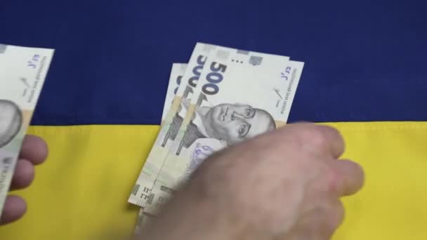 Räkna Pengar Ukrainska Hryvnian Räkningar Mans Händer Närbild Finansiella Krisen — Stockvideo