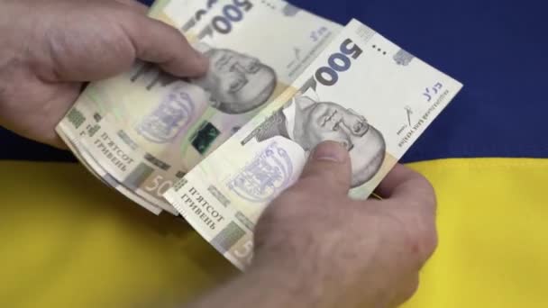 重新计票乌克兰格里夫纳汇率法案在男子手特写 乌克兰金融危机 汇率下跌至美元汇率 — 图库视频影像