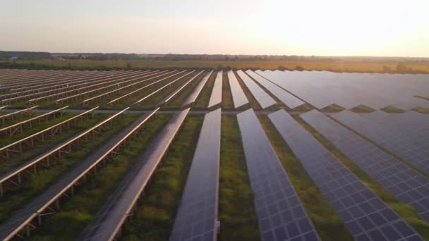 Повітряний Вид Hdr Сонячних Панелей Стоїть Ряд Полях Енергетичної Екології — стокове відео