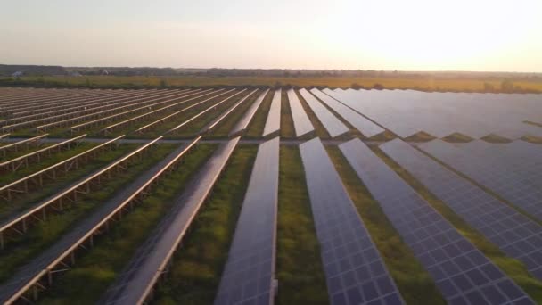 Aerial Hdr View Solar Panels Stand Row Fields Power Ecology — Wideo stockowe