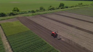 Tarlada tarla süren tarımsal kırmızı küçük traktör, tarlada çalışıyor. Sahada çalışan bir traktörün üzerinden uçmak. Traktör, alanın havadan yavaş çekim görüntüsünü sürüyor.