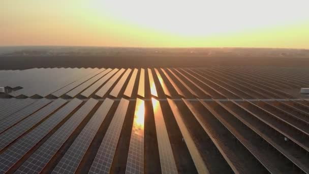 Aerial Drone View Large Solar Panels Solar Farm Bright Sunset — Stock Video