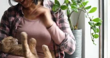 Bir kadın tatlı bir kediyi kucaklıyor ve kucaklıyor, evde kızın eliyle oynuyor, Pet ve insanlar