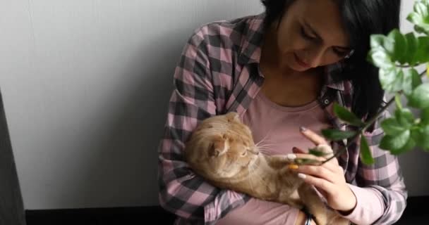 Kvinna Håller Och Omfamnar Söt Katt Leker Med Flickans Hand — Stockvideo
