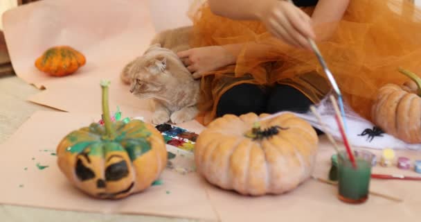 Feliz Niño Decorando Una Calabaza Casa Con Gato Niña Dibujando — Vídeo de stock