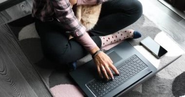 Kadın veteriner sitesinde veteriner muayenesi için kediyi kaydettirmek için veteriner sitesini araştırıyor, dizüstü bilgisayarda yazı yazan kadın evde, büyük pencerelerin yanında oturuyor, çalışıyor, evden çalışıyor..