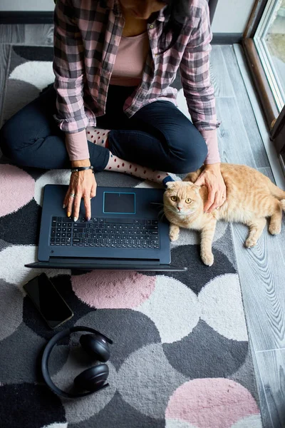 Mujer Buscando Sitio Web Veterinario Ordenador Portátil Para Registrar Gato — Foto de Stock