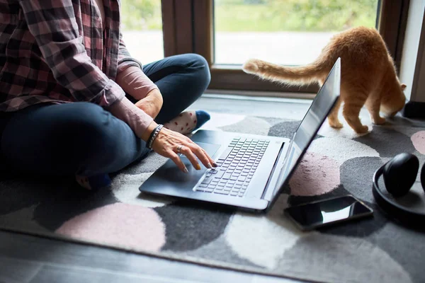Mujer Buscando Sitio Web Veterinario Ordenador Portátil Para Registrar Gato — Foto de Stock