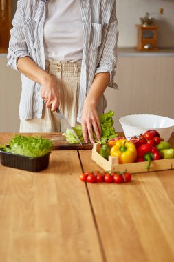 Kadın mutfakta sebze salatası hazırlıyor, tahta kesme tahtasında salata yaprağı kesiyor, sağlıklı gıda konsepti, vegan ya da diyet..