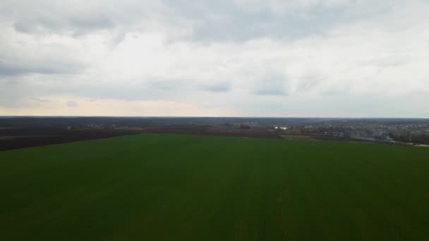 Vista aérea de los campos en el campo, Hermoso paisaje agrícola de verde principios de primavera — Vídeos de Stock