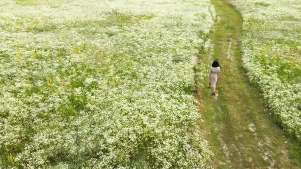 Drohne Luftaufnahme von Frau in Kleid zu Fuß in blumenblühenden Wiese — Stockvideo