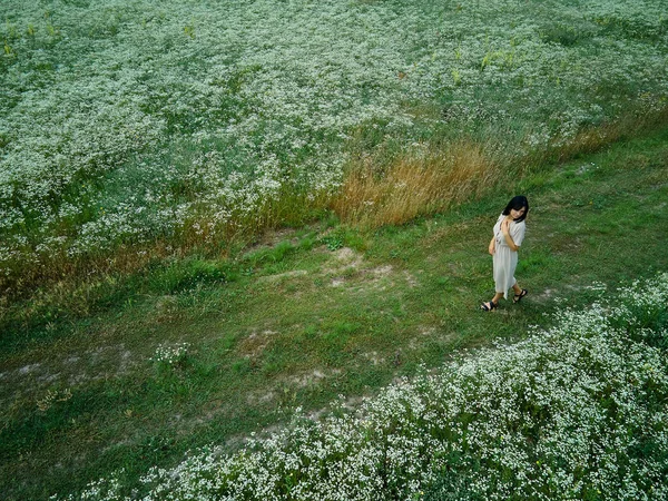 Drone aerial view of woman in dress walking in flower blooming meadow, in countryside, in the field on summer day in meadow, feel the nature, relax, alone travel. Slow motion.