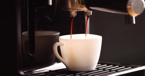 Detail Professional Coffe Maker Dripping Coffe Empty Cup Cafeteria Machine — Stock Video