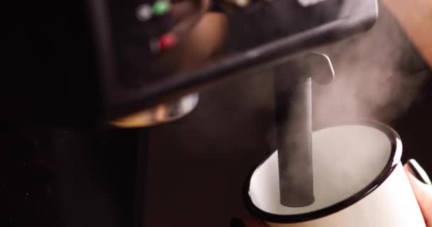コーヒーショップでカプチーノを作る無名のバリスタ 現代のカフェで地産コーヒーメーカーのエスプレッソを作る女性バリスタの手 — ストック動画