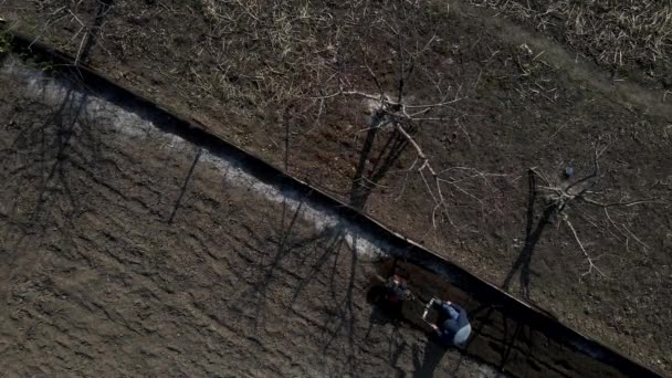 Aerial Drone View Man Farmer Working Garden Plows Garden Tiller — Vídeo de Stock