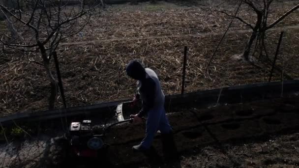 Aerial Drone View Man Farmer Working Garden Plows Garden Tiller — Stockvideo