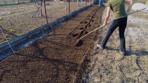 Woman Farmer Raking Garden Cultivating Field Spring Prepare Soil Agriculture — Wideo stockowe