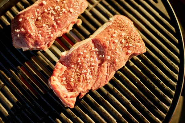 炉灶上的烤肉 院子里的烤肉 夏季家庭野餐 大自然的食物 — 图库照片