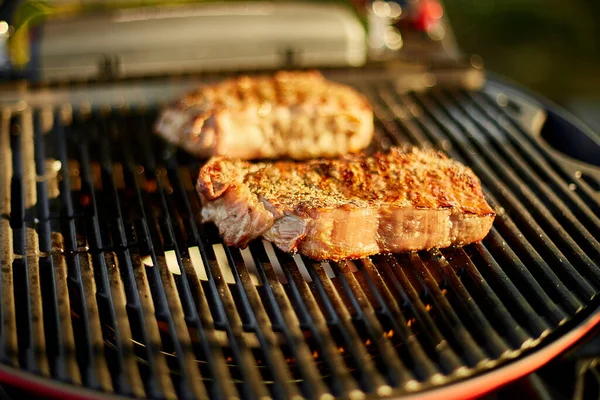 炉灶上的烤肉 院子里的烤肉 夏季家庭野餐 大自然的食物 — 图库照片