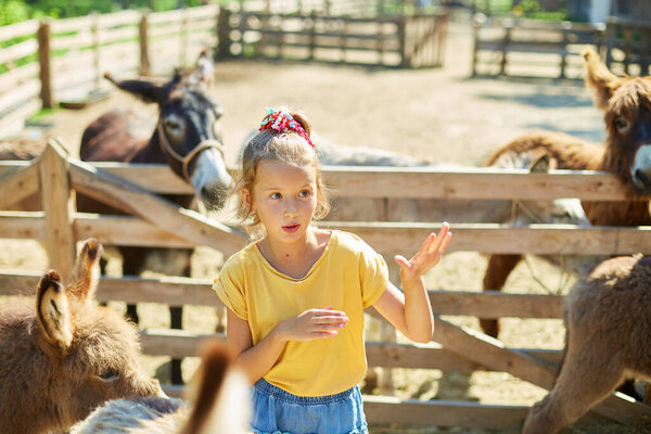 Маленькая девочка в контакте фермерский зоопарк с ослами в сельской местности, ферма, Дружелюбный Осёл в загоне будучи социальным.