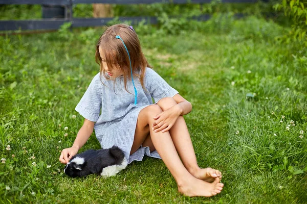 Little Girl Play Black Guinea Pig Sitting Outdoors Summer Pet — Stock Photo, Image