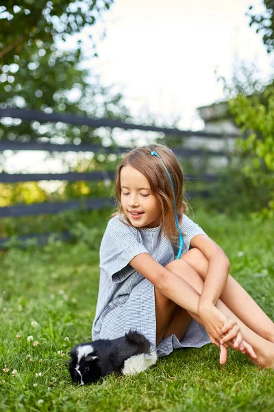 Egy Kislány Játszik Fekete Tengerimalac Szabadban Nyáron Pet Calico Tengerimalac — Stock Fotó