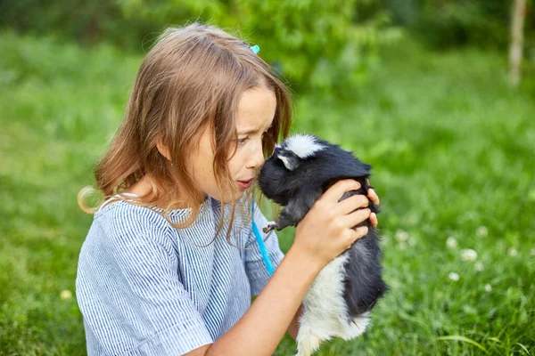 Una Bambina Gioca Con Porcellino India Nero Seduto All Aperto — Foto Stock