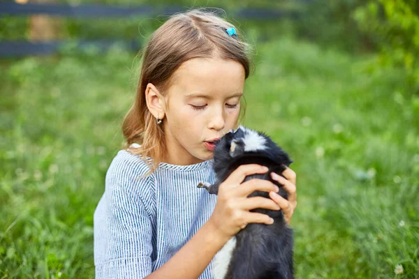 一个小女孩和黑豚鼠一起坐在户外玩耍 宠物卡利科豚鼠在主人后院的草地上吃草 爱抚宠物 — 图库照片
