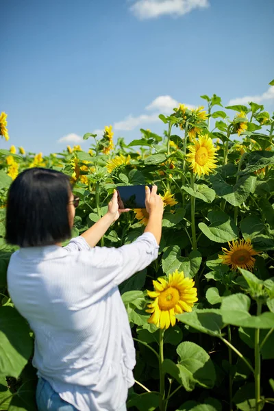 Жінка Фермер Бізнес Леді Фотографують Планшетному Полі Органічний Соняшник Продають — стокове фото