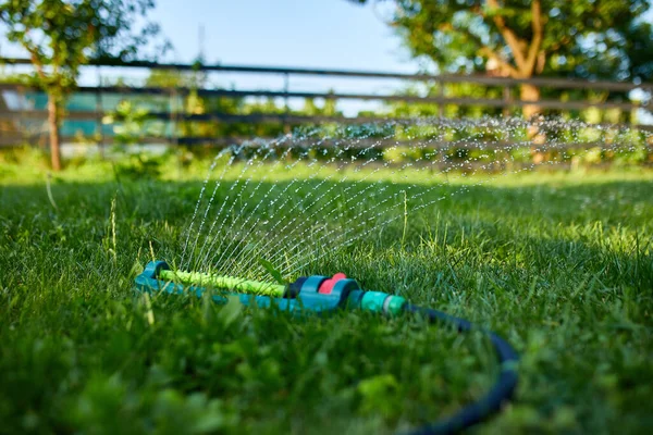 Oszillierender Gartenregner Der Sommer Oder Frühling Wasser Über Das Grüne — Stockfoto