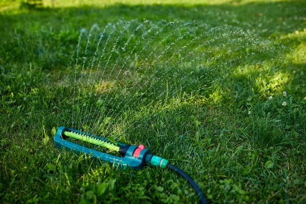 Spruzzatore Giardino Oscillante Che Spruzza Acqua Sull Erba Verde Casa — Foto Stock