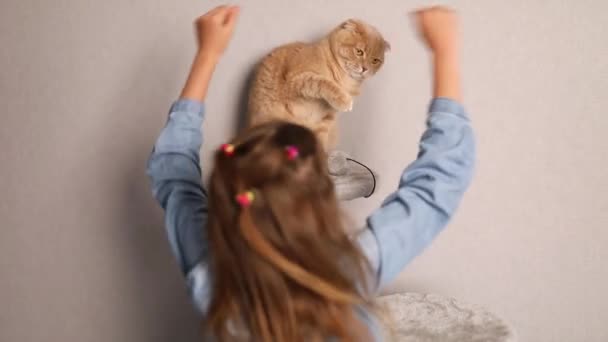 Happy Cute Little Girl Play Her Cat Home Love Pets — Vídeo de Stock