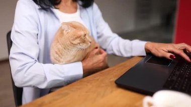 Olgun kadın bir defter, dizüstü bilgisayar ve elinde kedi tutuyor.