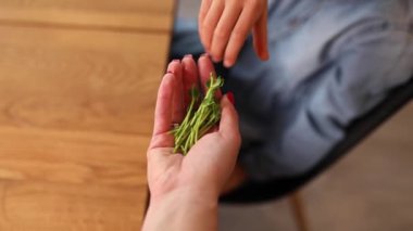 Küçük kız el mikroyeşil, sağlıklı gıda konseptinden alındı..